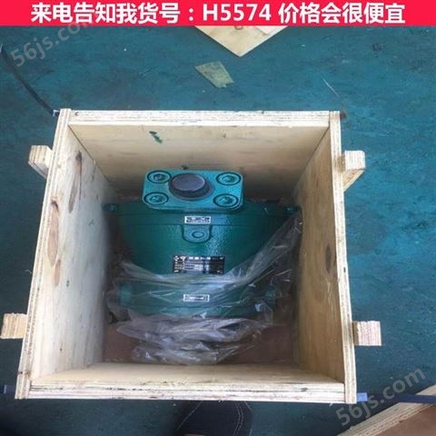 小柱塞泵 柱塞泵 铸铁柱塞泵货号H5574