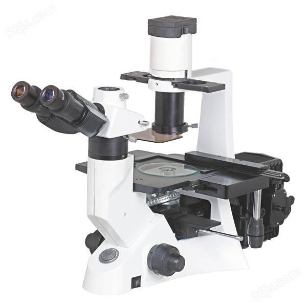 NIB-100F倒置荧光显微镜