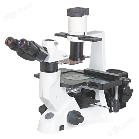 NIB-100F倒置荧光显微镜