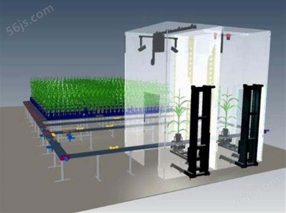 室内植物表型成像系统WIWAM conveyor