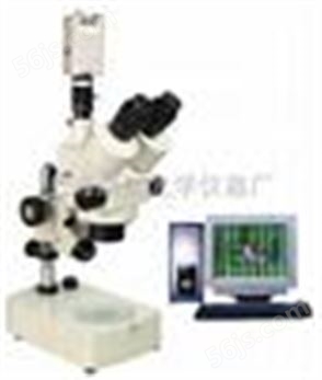 体视显微镜XTL-204C|电子显微镜|上海体视显微镜-绘统光学