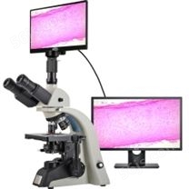 KOPPACE 40X-1600X 研究级 三目复合实验室显微镜 11.6英寸 高清电子生物显微镜