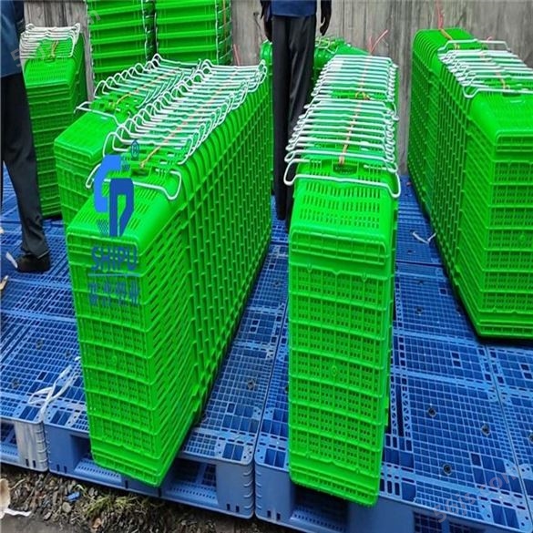 重庆食品级塑料周转筐厂家 西瓜箩铁耳箩批发