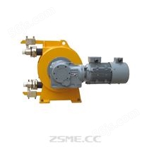 ZHP38工业软管泵,软管挤压泵