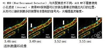 <strong>尼康双光子显微镜 A1R MP/A1R MP+双光子显微成像系统价格</strong>
