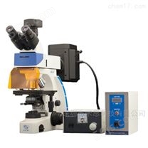 供应DSY2000X倒置荧光显微镜生产
