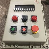 BXK帶報警器防爆數顯儀表箱