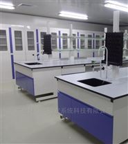 广东实验室家具厂家，全钢实验台，通风柜