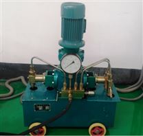 高压电动试压泵4DSY100MPa